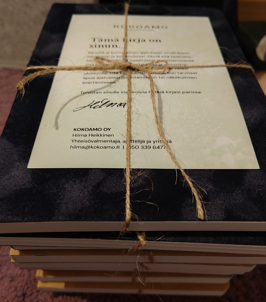 Pino osaamispäiväkirjoja